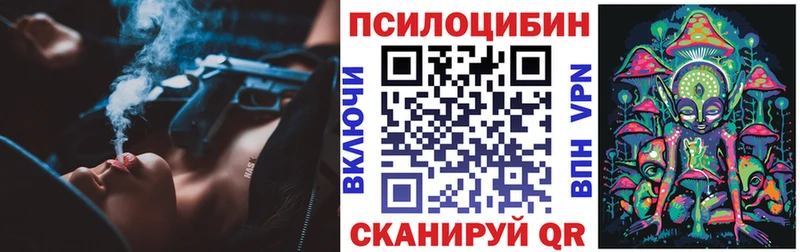 купить закладку Гаврилов Посад Галлюциногенные грибы мухоморы